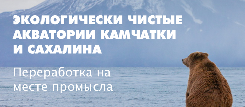 СВЕЖИЙ УЛОВ 2026